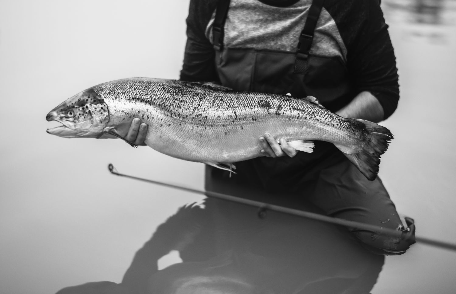 fishing4